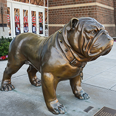 small bronze bulldog statue